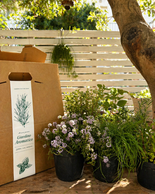 KIT - IL MIO PRIMO GIARDINO AROMATICO