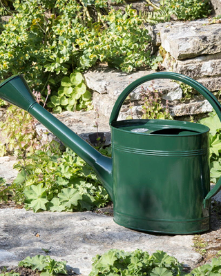 ANNAFFIATOIO A CASCATA 5 LITRI - VERDE CORSA BRITANNICO