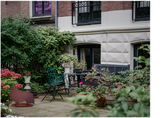 Border Collie in Acciaio Corten – Scultura Decorativa Artigianale