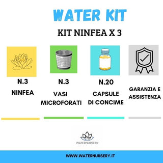 KIT NINFEA X 3