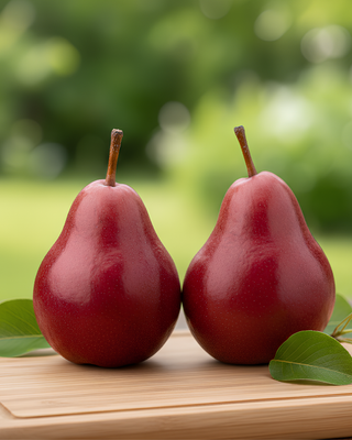 PIANTA DI PERA RUBBIA "PYRUS COMMUNIS"