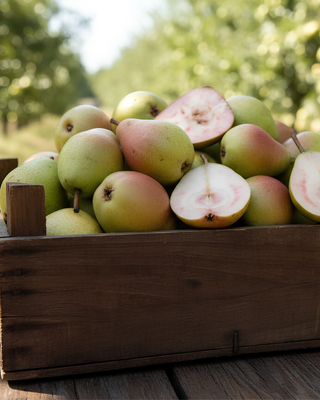 PIANTA DI PERA COCOMERINA ESTIVA (BRIACA) "PYRUS COMMUNIS"
