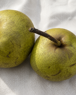 PIANTA DI PERA PASSACRASSANA "PYRUS COMMUNIS"