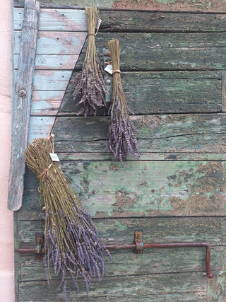 Mazzi di lavanda