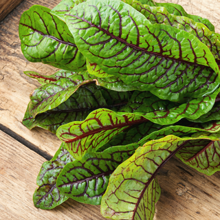 Acetosa Rossa