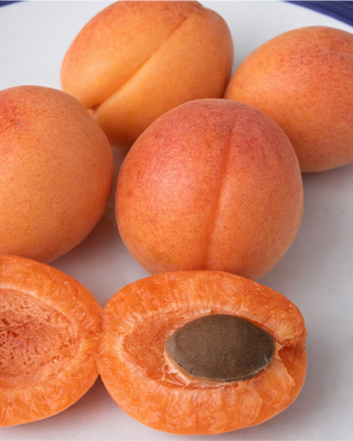 PIANTA DI ALBICOCCA PAVIOT “PRUNUS ARMENIACA”