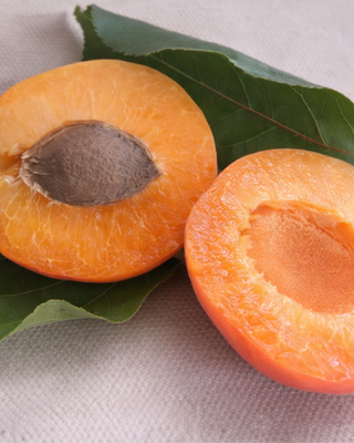 PIANTA DI ALBICOCCA PISANA “PRUNUS ARMENIACA”