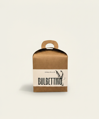 Bulbettino - MUSCARI