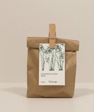 Bulbettino - NARCISI