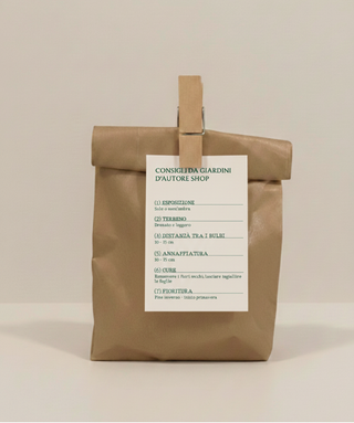 Bulbettino - TULIPANI