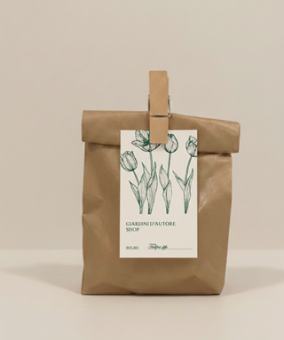 Bulbettino - TULIPANI