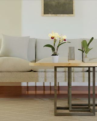 ORCHIDEA CATTLEYA SPRINGTIME