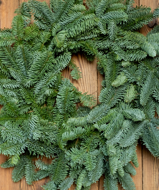 Ghirlanda in pino nobilis