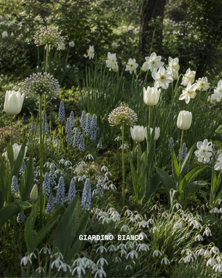 Giardino Bianco