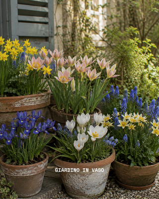 Giardino in Vaso