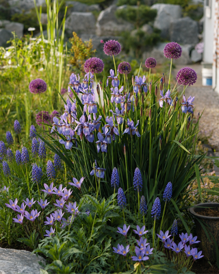 Giardino Naturale