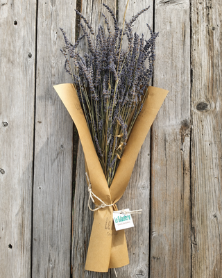MAZZO DI LAVANDA ESSICCATA 100 SPIGHE
