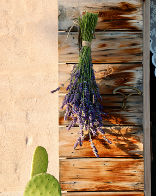 MAZZO DI LAVANDA FRESCA 100 SPIGHE