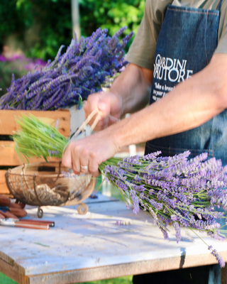 MAZZO DI LAVANDA FRESCA 100 SPIGHE