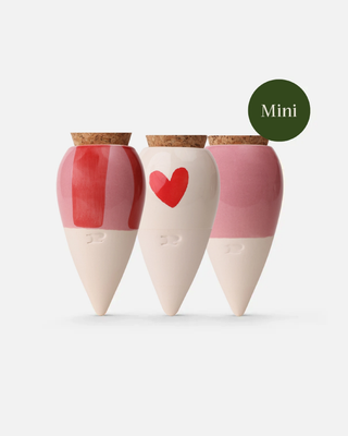SCATOLA TRIO MINI OLLAS - IRRIGAZIONE NATURALE PER PIANTE IN VASO