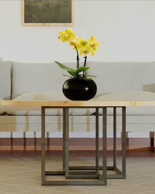 ORCHIDEA CATTLEYA VERENA