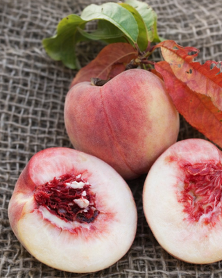 PIANTA DI PESCA BUCO INCAVATO "PRUNUS PERSICA"