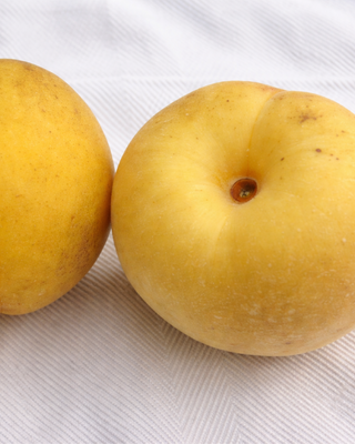 PIANTA DI PESCA NATALINA "PRUNUS PERSICA"