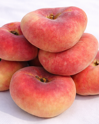 PIANTA DI PESCA PIATTA BIANCA "PRUNUS PERSICA"