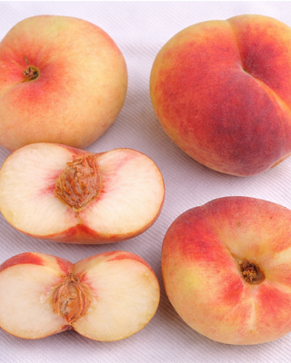 PIANTA DI PESCA PIATTA GIALLA "PRUNUS PERSICA"