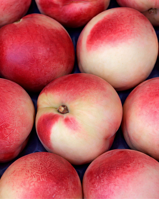 PIANTA DI PESCA NETTARINA SNOW QUEEN "PRUNUS PERSICA"