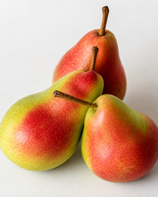 PIANTA DI PERA BUTIRRA PRECOCE MORETTINI "PYRUS COMMUNIS"