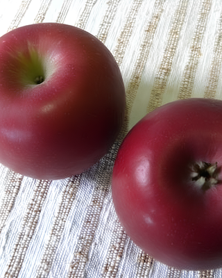 PIANTA DI MELA FRAGONA "MALUS DOMESTICA"