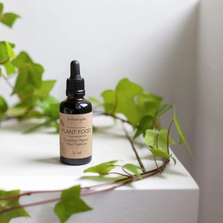 Plant Food - fertilizzante 50 ml