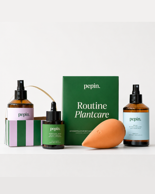 ROUTINE PLANTCARE – KIT COMPLETO PER LA CURA DELLE PIANTE DA INTERNO