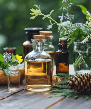 Laboratorio I profumi del Natale - Domenica 7 dicembre ore 15.00