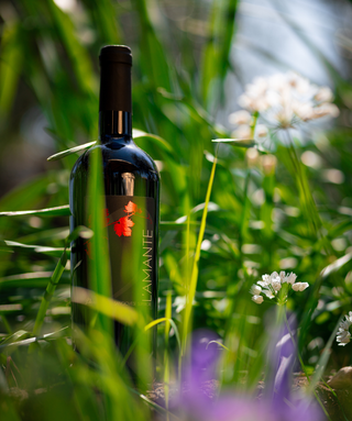 Sangiovese Superiore L’Amante