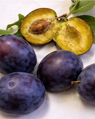 PIANTA DI SUSINA GROSSA DI FELISIO "PRUNUS DOMESTICA"