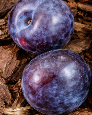 PIANTA DI SUSINA REGINA CLAUDIA VIOLA "PRUNUS DOMESTICA"