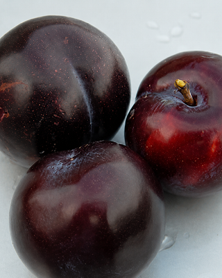 PIANTA DI SUSINA ANGELENO "PRUNUS DOMESTICA"